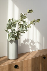 Dry eucalyptus branches in modern minimalist grey vase on wooden TV stand with beautiful shadows from sun on white wall
