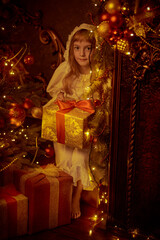 Fototapeta na wymiar fairy girl with gift
