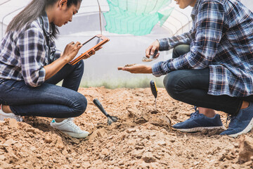 Soil meter is used on loam for planting, Measure soil acidity.  Green plants and farmer measure PH...