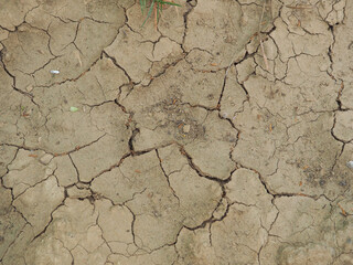 Trockener Boden