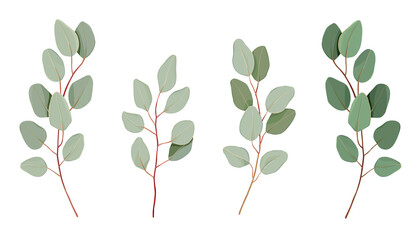 Set Eucalyptus tree leaves, foliage, tropical elements in watercolor style. Collection of eucalyptus branches isolated on white background. Vector nature decorative elegant illustration for design