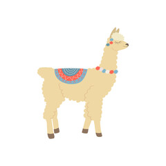 beige llama stands with closed eyes with a rug on his back and colored bubbles on his neck on a white background