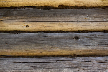 Fototapeta premium Background of wooden logs, laid dry moss. Log wall with knots and cracks. Rustic background.