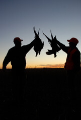 A pair of hunters silhouetted with pheasants 