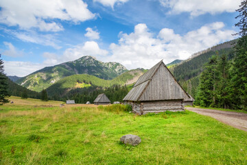 Landscape of Dolina Chocholowska - the longest and largest valley in the Polish Tatras © bbsferrari