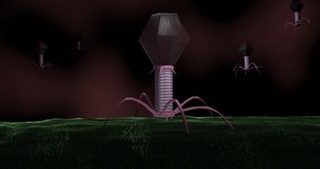 bacteriophages infecting bacteria in 3d illustration