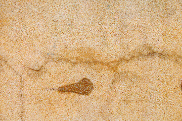 grungy wall - Sandstone surface background texture.