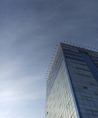 Fototapeta na wymiar blue building against the sky, city photo