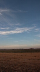 Fototapeta premium natural landscape of a field and a blue sky