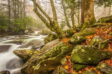 Little Pigeon River in Great Smoky Mountains National Park