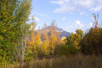  Landscape detail with autumn trees and mountains 