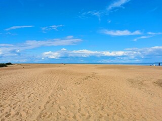 Fototapeta na wymiar southern shore of the Gulf of Finland sand pine blue sky