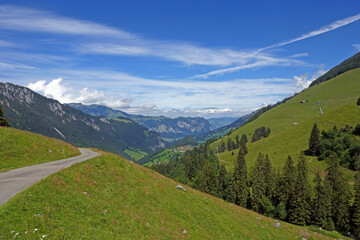 Fototapeta na wymiar Diemtigtaltal, Wiriehorn, Alpen, Berner Oberland, Schweiz 