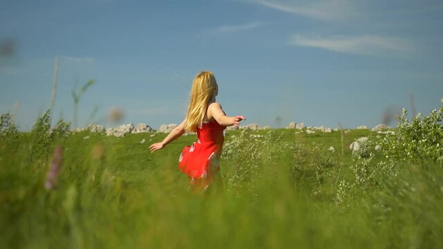 girl on the meadow