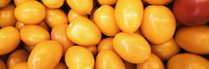 Juicy ripe bright yellow tomato background panoramic view