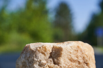 a model of an empty stone podium with a natural concept of a rock and green plants. High quality photo