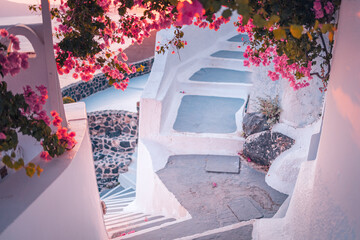 Artistic travel scene. Fantastic sunset landscape of romantic travel and vacation couple destination. Luxury summer adventure concept. Wonderful view of Oia village, Santorini, Greece. Stairs, flowers