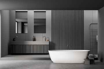 Fototapeta na wymiar Dark grey bathroom with white ceramic tub