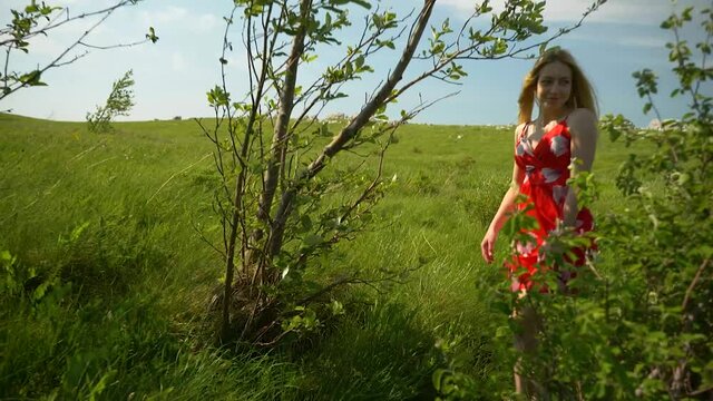 woman in red dress