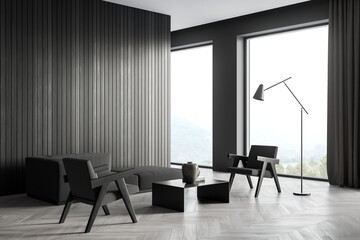 Corner of panoramic dark grey living room with lined wall