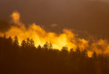 Sunrise in the Great Smokey Mountains at Clingman's dome in North Carolina