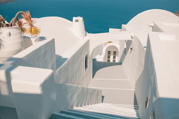 White walls and pot plants along a walkway in Santorini, Greece. White walls and pot plants along a walkway in Santorini, island Greece. Caldera view, vacation scenic

