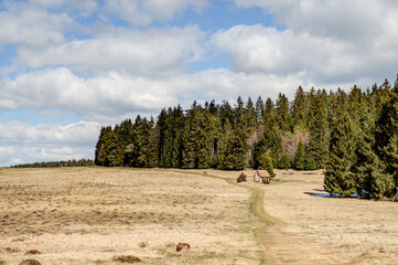 Panoramic view over the Alb plateau at the Steineberg Chapel, a popular hiking and excursion area on the Swabian Alb in Germany.