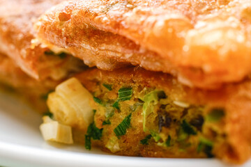 Martabak Telor or Martabak Telur. Savory pan-fried pastry stuffed with egg, meat and spices.