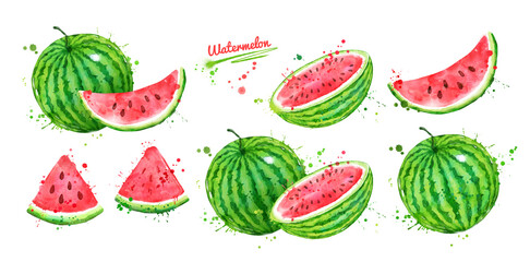 Watercolor illustration set of Watermelon