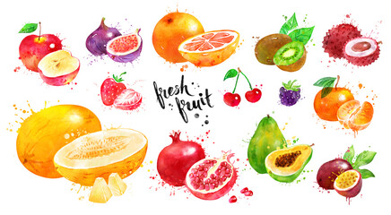 Watercolor illustration set of Fruit
