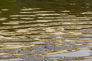 Reflections of sunlight in the water of a reservoir.