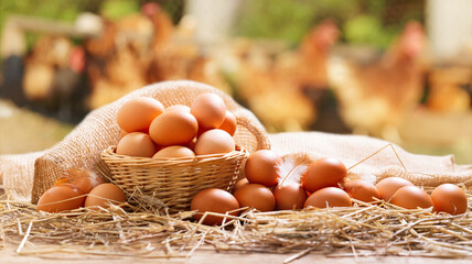 chicken eggs on a wooden table over farm in the countryside