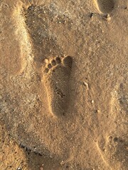 footprint in sand