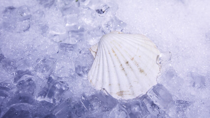 naldu oysters indoors, lemon and light © Ivan