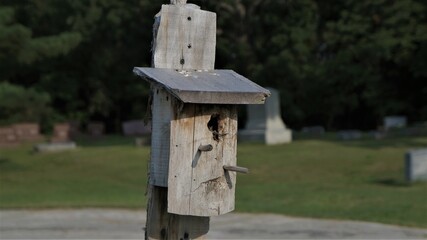 wooden bird house