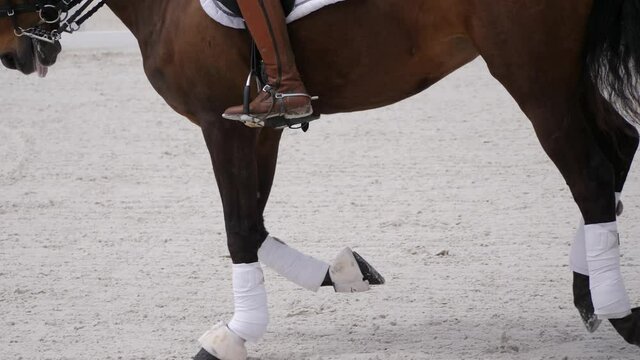 Close up of horse's legs while galloping in slow motion.