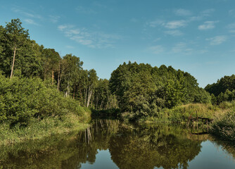 Fototapeta na wymiar small forest river