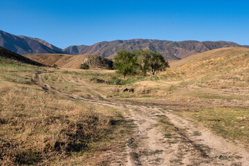 Fototapeta premium path in the mountains