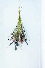 Dried flowers hanging against blue wall. Decorative grass   and flowers in bouquets for home decor.