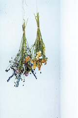 Dried flowers hanging against blue wall. Decorative grass   and flowers in bouquets for home decor.