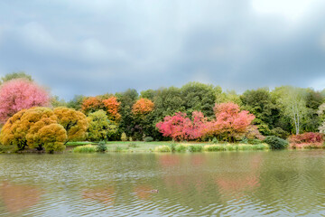 Fototapety na wymiar - Fototapeta24.pl