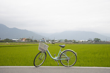 bicycle on the road