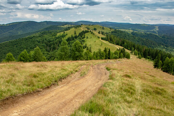 Fototapeta na wymiar Mountain path to hill summer landscape