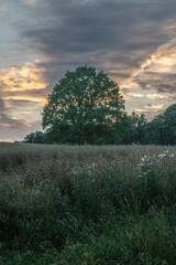 Landscape in Upper Lusatia- sunset near Weifa