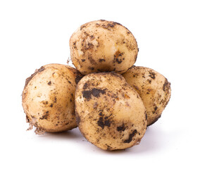 Raw unwashed potatoes with soil isolated on white background