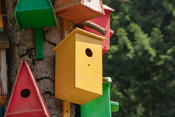 Collection of colorful wooden birdhouses.