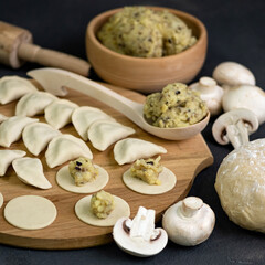 Making Homemade Dumplings with mashed potatoes and mushrooms filling on wooden board. Close-up shot. Convenience Food. Square format. Soft focus.