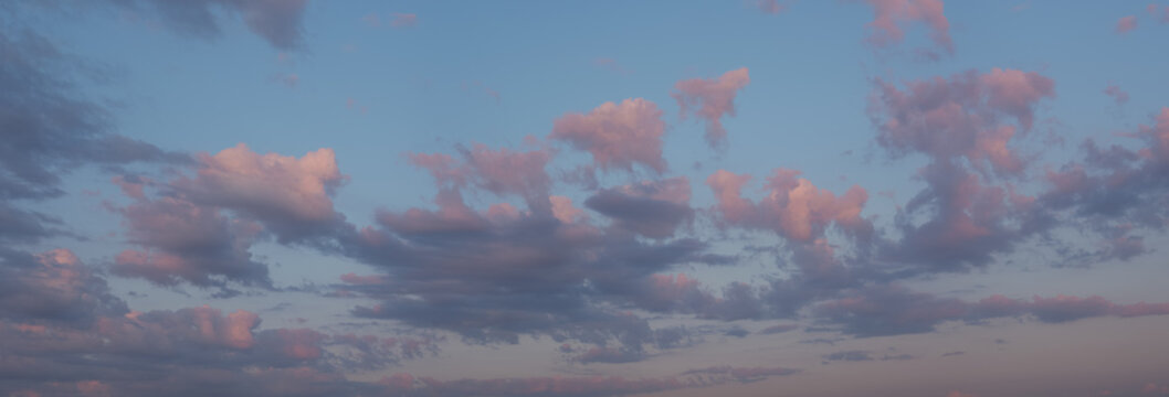 Pink, Fluffy Cumulus Clouds On A Blue Sky In The Daytime