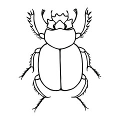 Scarab beetle. Vector stock illustration eps10. Isolate on white background, outline. 