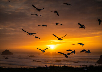 Dreamy image of silhouetted seagulls flying at sunset with ocean background